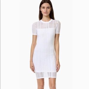 Modern net design Alexander Wang Dress New!
